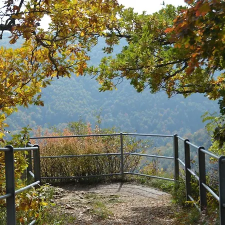 Апартаменты Baeuerle *