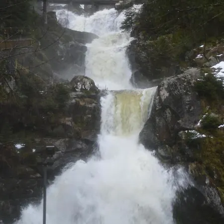 Baeuerle Апартаменты Шёнвальд